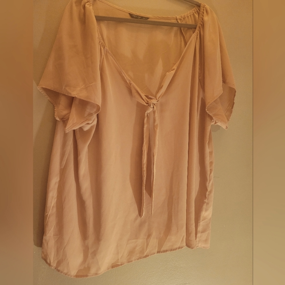 Shein Curve 4xl Pink Blouse